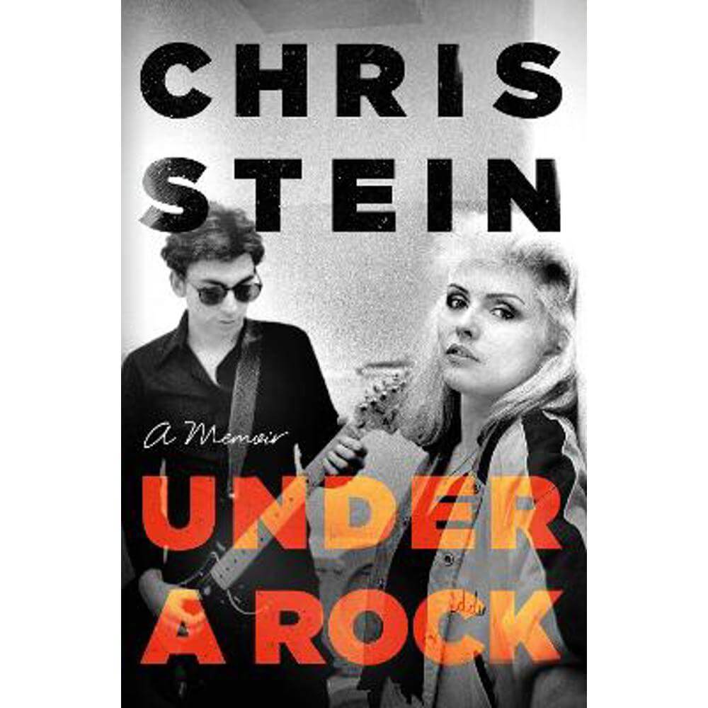 Under A Rock (Hardback) - Chris Stein